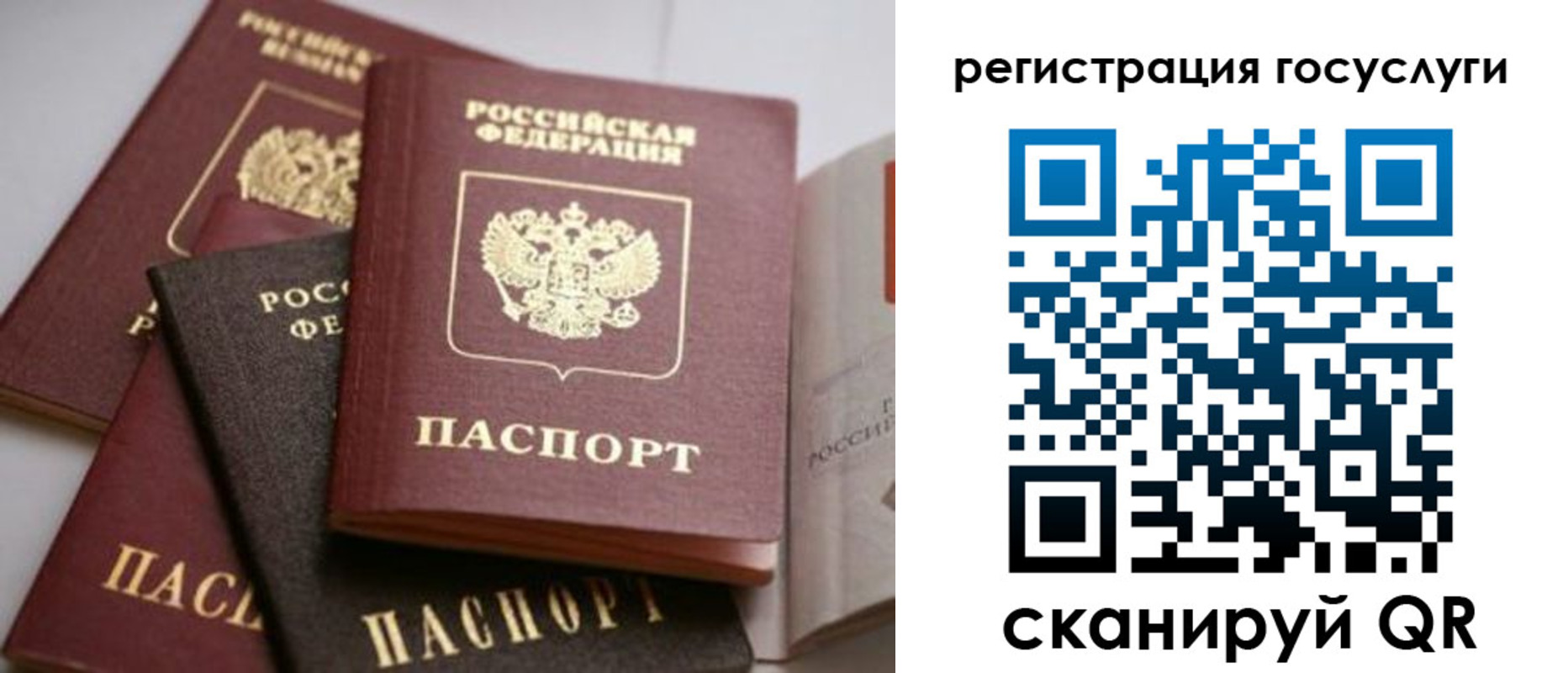 пропишу в квартире в Калининградской области